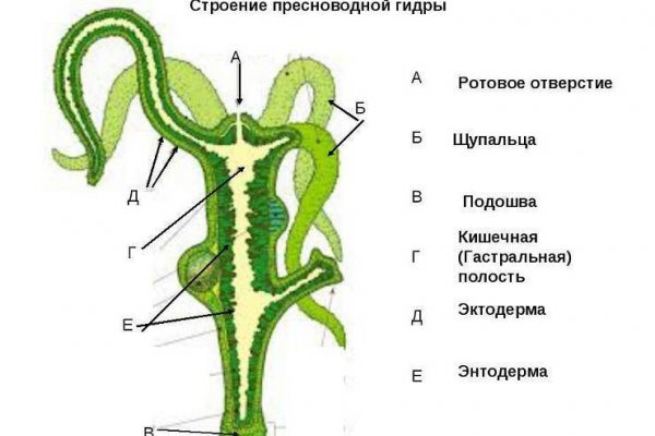 Кракен через впн